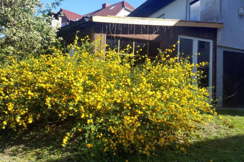 Landhaus Haid Presseck エクステリア 写真